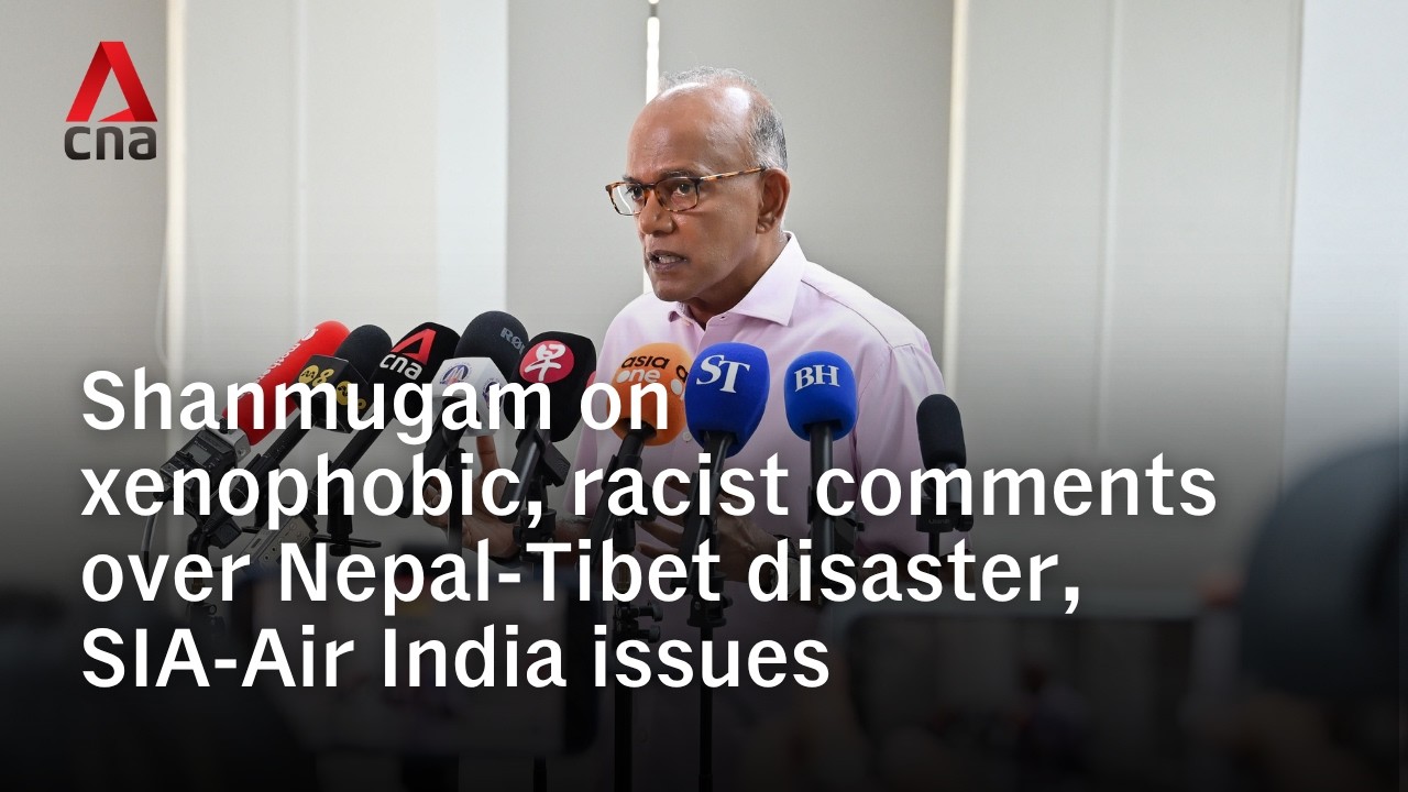 Singapore minister condemns racist online comments about missing citizens, Air India dispute