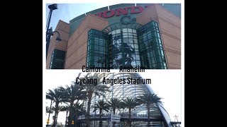 大谷翔平所属エンゼルススタジアム近辺のサイクリング 目的地のスタジアム外からの光景は圧巻