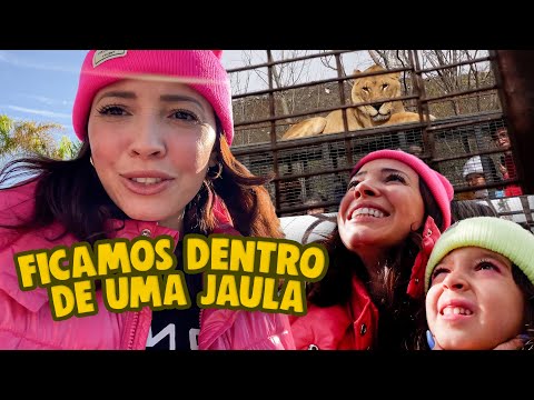 PASSEIO SAFARI CHILE  *mais lojas #12