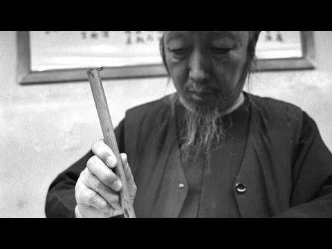 THE PROFESSOR: Tai Chi's Journey West - Official Trailer