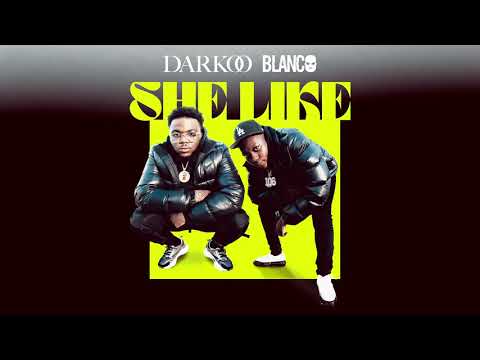 Darkoo x Blanco - She Like [Official Audio]