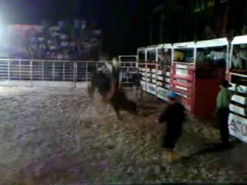 Fabricio VS Pagodi (2° expojau)