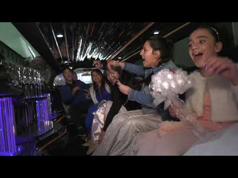 Hochzeit_von_ ALBENA & GICO _1-2-19