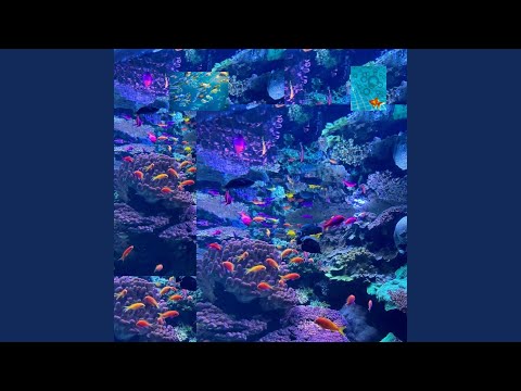 aquaproof (feat. scizzie)