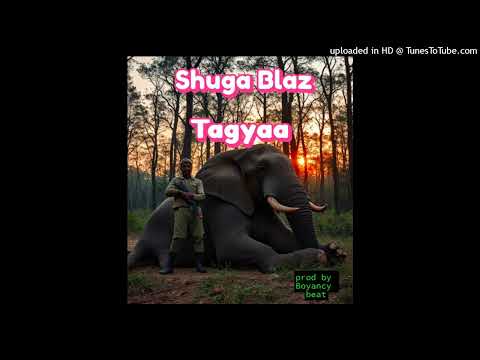 Shuga Blaz - Tagyaa (prod.by Boyancy Beat)
