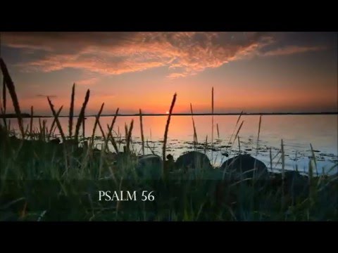 Psalm 56, Gott, sei mir gnädig!