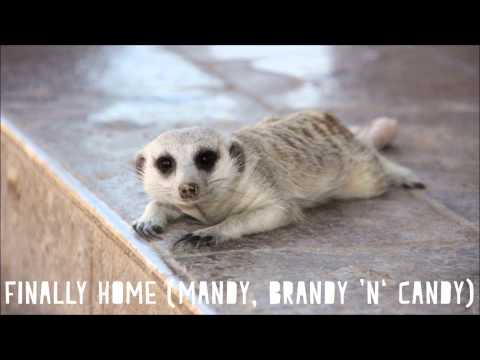 Flitz&Suppe - Finally Home (Mandy, Brandy 'n' Candy)