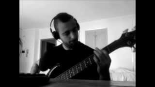 INSECT WARFARE - Pestilent Excruciation (BASS COVER)