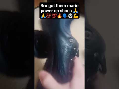 boing #memes #meme #shoes #shorts