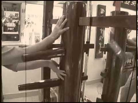 Grandmaster Wan Kam Leung 360p