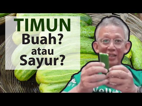 , title : 'TIMUN! Buah? atau Sayur?, 20 MANFAAT TIMUN yang terbaik | Dr. Noordin Darus'