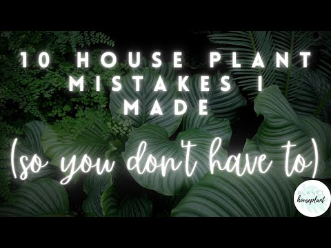 , title : '10 House Plant Mistakes I Made So You Don't Have To | HOUSE PLANT CARE TIPS'