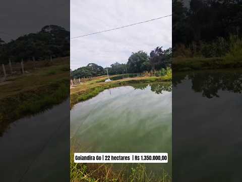 🏡 Oportunidade em Goiandira–GO! 22 hectares.