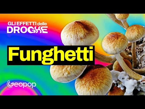 Che effetti hanno i funghetti allucinogeni sul nostro cervello? Ecco come agisce la psilocibina