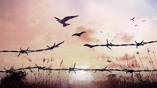 What We Gain When We Lose Free Will