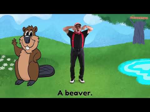 THERE WAS A CROCODILE