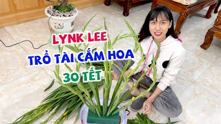 Lynk Lee Trổ Tài Cắm Hoa 30 Tết
