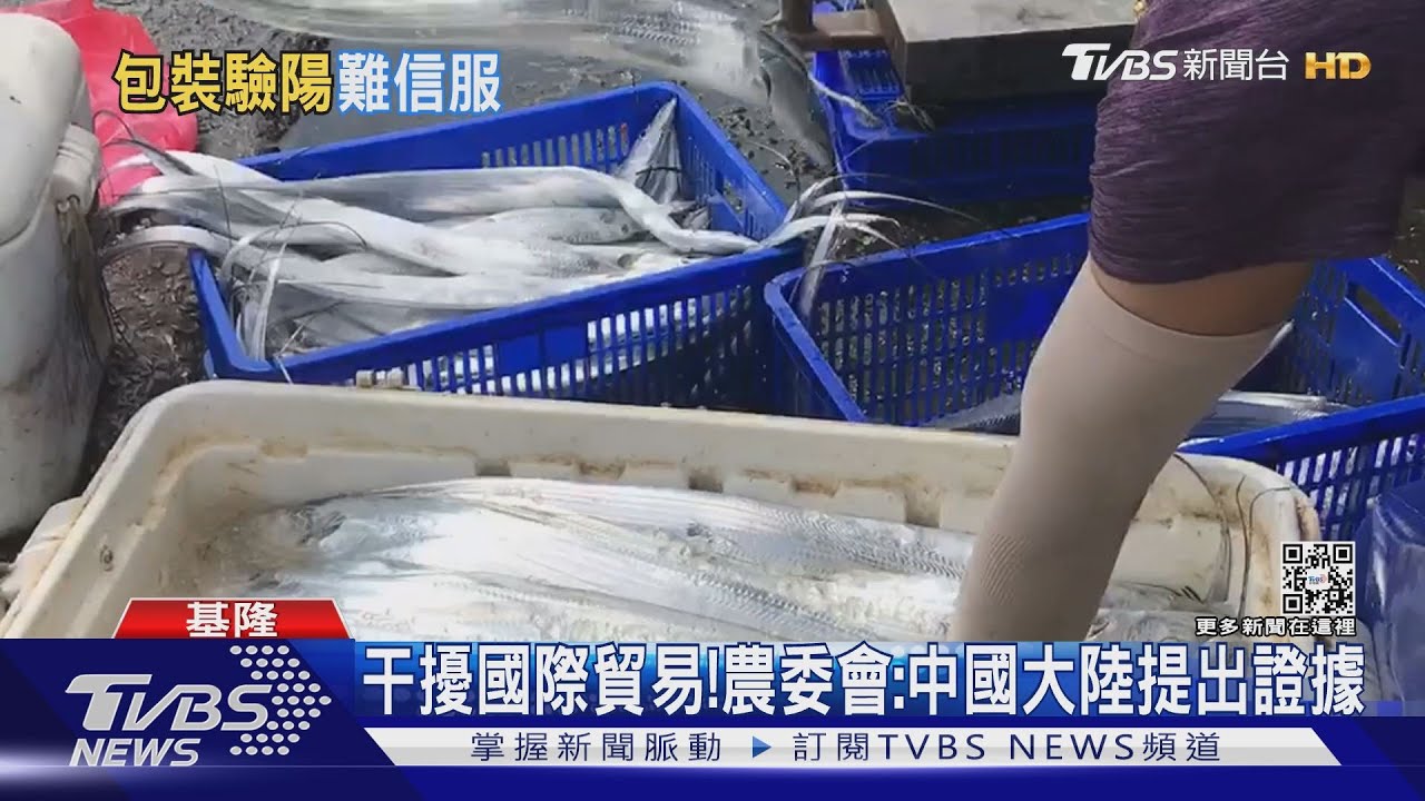 內外銷都困難！石斑魚大王：國內市場小、「活魚運輸」外銷難