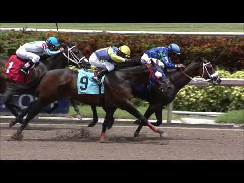 Gulfstream Park Replay Show | July 29, 2017