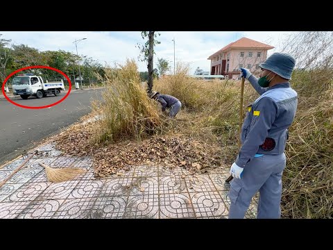 The DEVASTATED sidewalk that no one dares to set foot on and the GREAT ending after being cleaned up