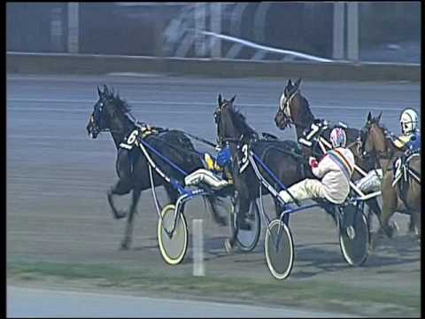 Trotto 17/01/2017 - 3ª corsa