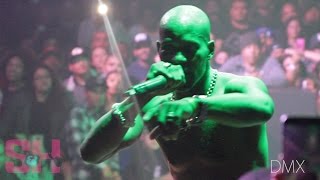 DMX - Stop Being Greedy (LIVE at The Observatory)