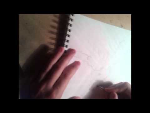 Robin Speed Drawing