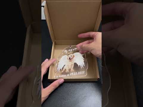 I've  received this from heaven 🐶