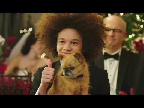 Trailer-Vorschau: Es weihnachtet wieder