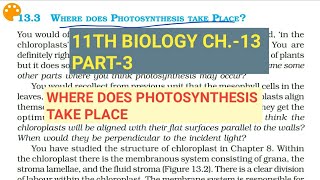 Class 11 Biology|Ch.-13 |Part-3||Where does photosynthesis take place||Study with Farru
