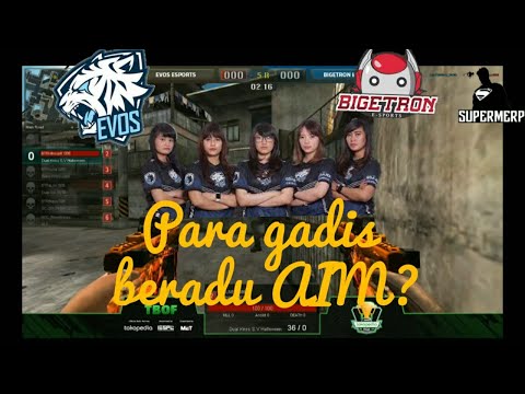 PARA GADIS BERADU AIM || HIGHLIGHT JUARA PBLC EVOS VS BIGETRON (IESPL) | PART 1