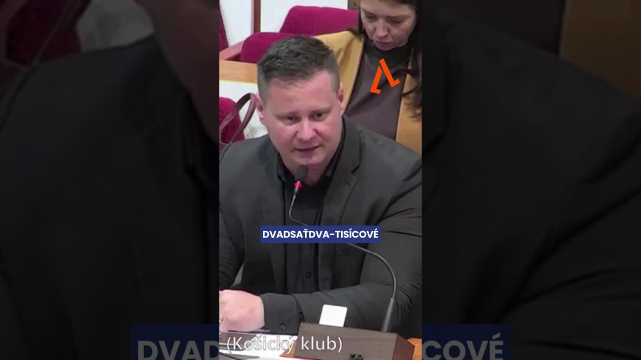 Náhľadový obrázok Niektoré veci sa na mestskom zastupiteľstve počúvajú ťažko.