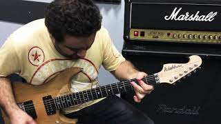 Video thumbnail for Washburn N4 Vintage by Arsen Gukasyan