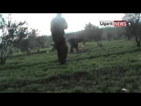 استهداف نقاط قوات النظام بمدفع عيار 106 من قبل لواء النصر في كفر نبودة في محافظة حماة