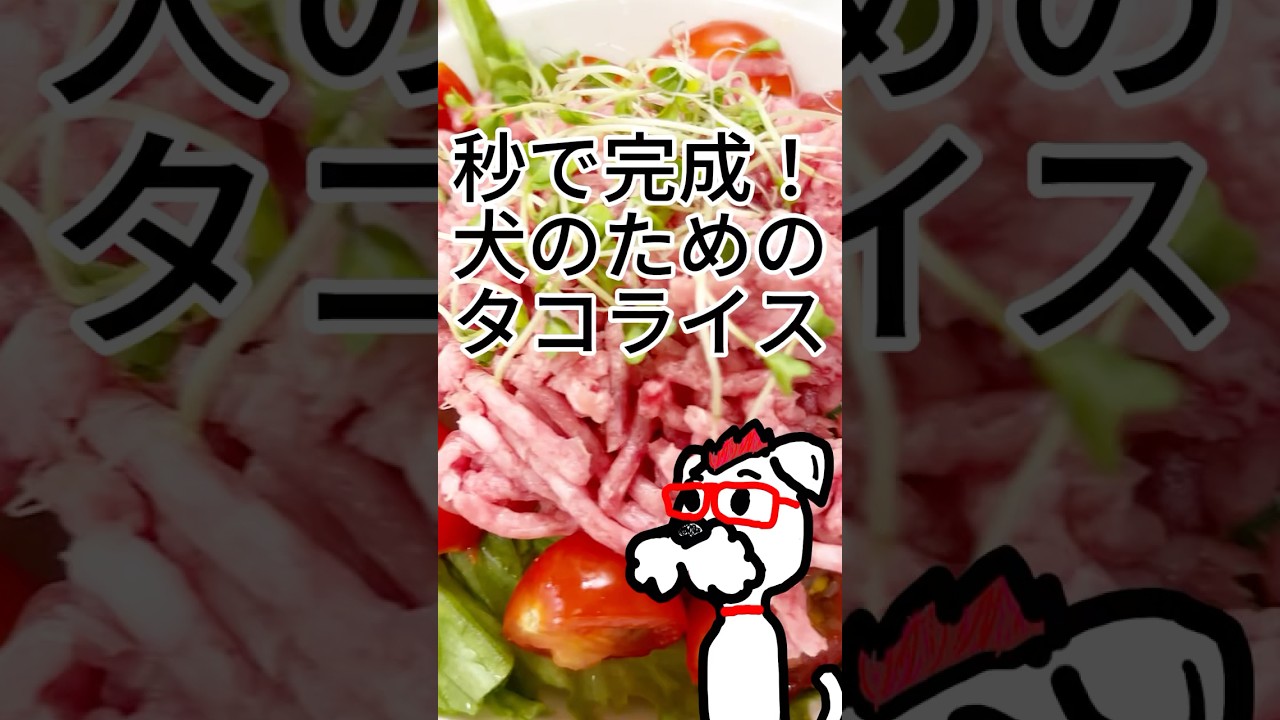 ドッグフード 置き換え タコライス