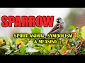 Sparrow – Spirit Animal, Symbolism and Meaning - Sign Meaning