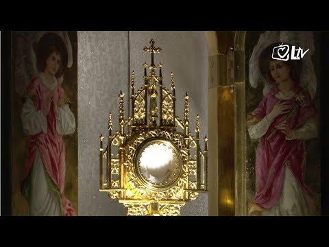 Pregled dana 1.2.2021.