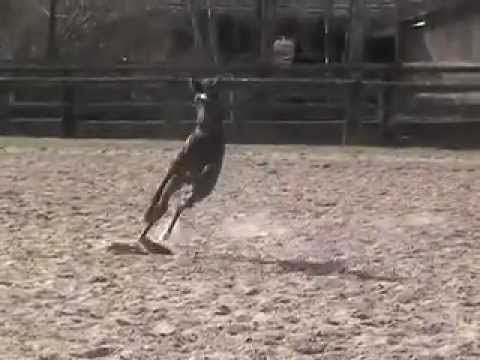 :: DEEP BLUE 3.4.2012 :: Decurio x San Remo