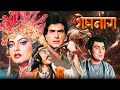80s Cult Classic Movie Sheshnaag 4K Jeetendra Rishi Kapoor Rekha Mandakini Full Hindi Movie