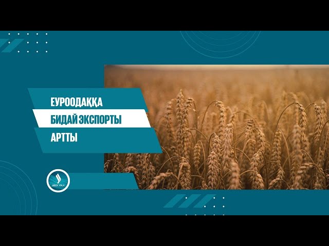Еуроодаққа бидай экспорты артты