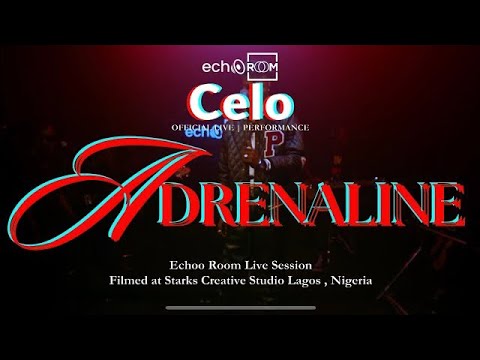Celo - Adrenaline | Echooroom Live Perfromance