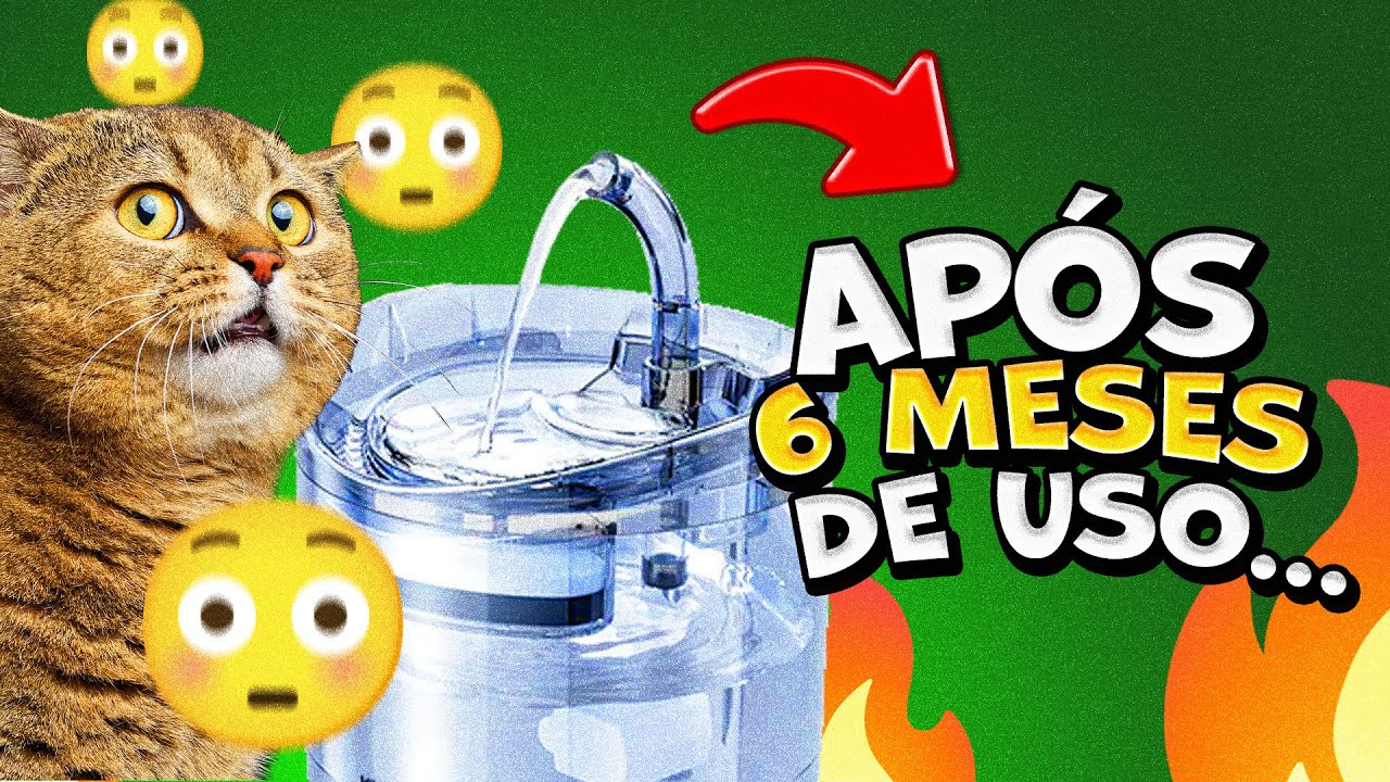 TÁ APROVADA? - FONTE BEBEDOURO PARA GATOS - REVIEW DE 6 MESES, VEJA! - ALIEXPRESS