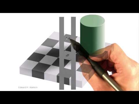 Seeing Is Believing Interactive 3D Graphics