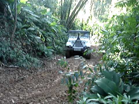 Trilha no Lobo em Taió