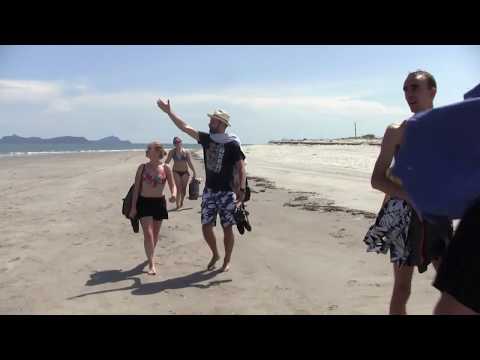 2017 Jedliniok w Panamie