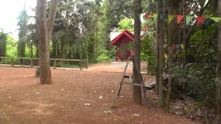 preview picture of video 'Aom Ruedi Forest Park, Ban Si Charoen, Udon Thani province, Thailand'