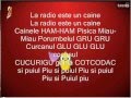 Puiul Piu lyrics (romana) 
