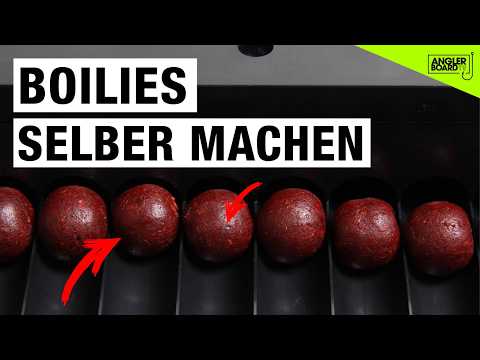 Make your own boilies | Fish boilie production, manufacturing & rolling with recipe | Carp fishing
