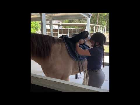 Meet Me Monday: Soda