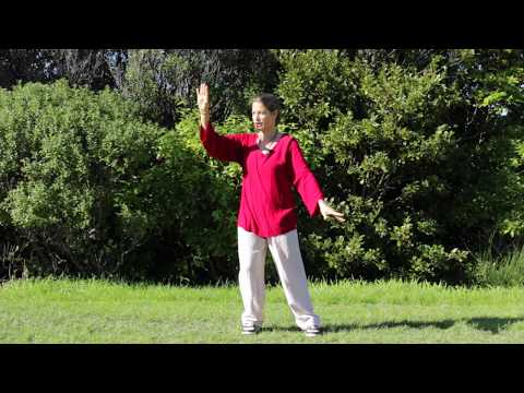 UPDATED: Module 04 Tai Chi 5 Min - Cloud Hands - Single Whip - Creeping Snake - One Camera New Music